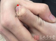 养肝护肾多按摩这几个穴位